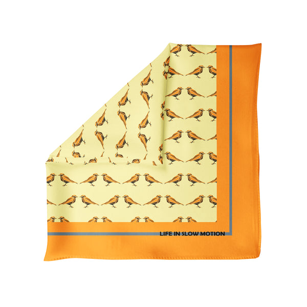 Bobbio - Silk Pocket Square